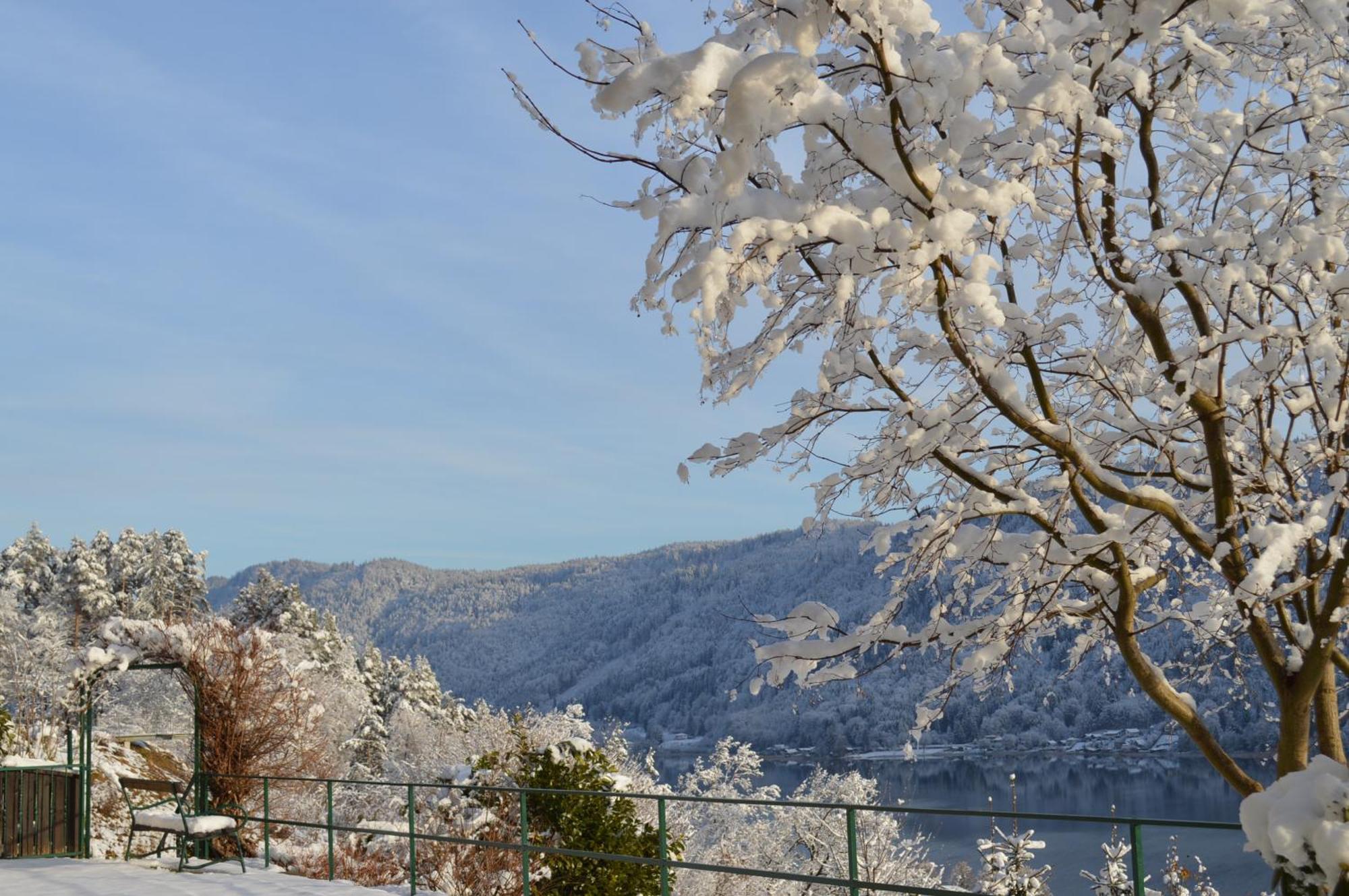 Jaeger Guesthouse Annenheim Dış mekan fotoğraf